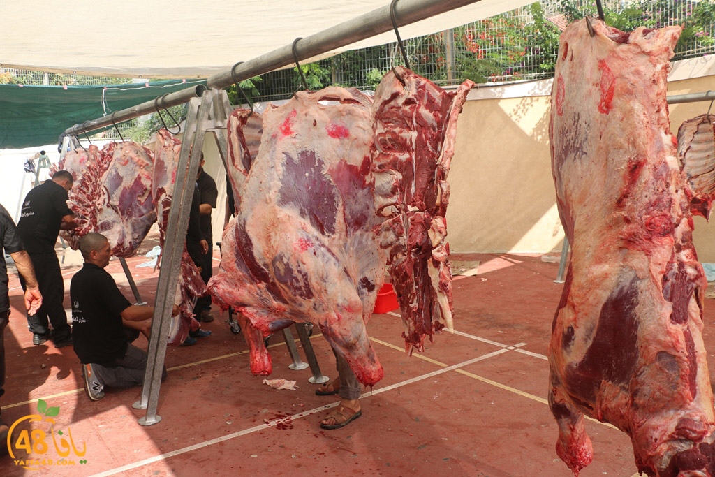 ada7y forthei (45).JPG